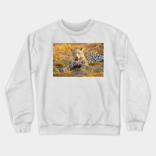 Leopard (Panthera pardus) in the Okavango Delta Crewneck Sweatshirt by GrahamPrentice